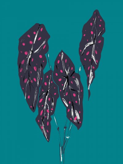 Dark Tropical Caladium Leaves by Francesco Gulina
