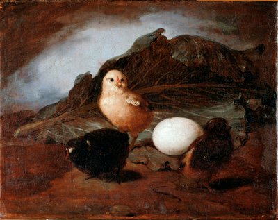 Chicks by Francesco Inganni