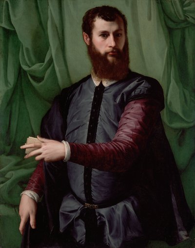 Portrait of a Man by Francesco Salviati