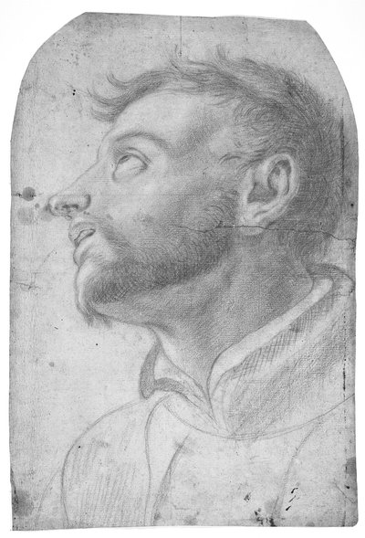 Head of a Man Gazing Upwards by Francesco Solimena