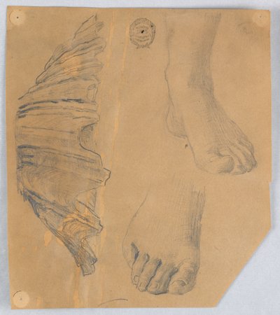 Studies of Feet, and a Fluted Shell by Francis Augustus Lathrop