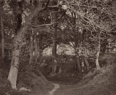 Glen Kenilworth by Francis Bedford