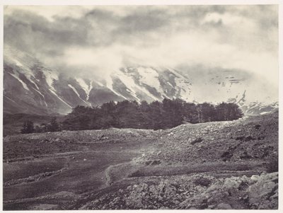 Distant View of the Cedars of Lebanon by Francis Frith