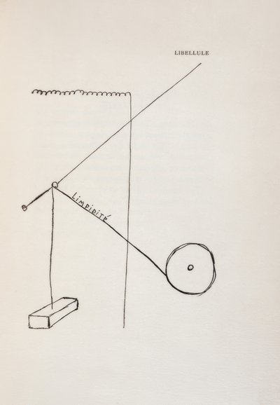 Dragonfly by Francis Picabia