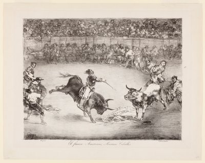 The famous American, Mariano Ceballos: The Bulls of Bordeaux by Francisco de Goya