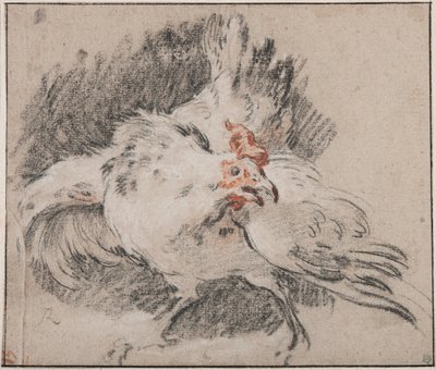 Study of a Rooster by François Boucher