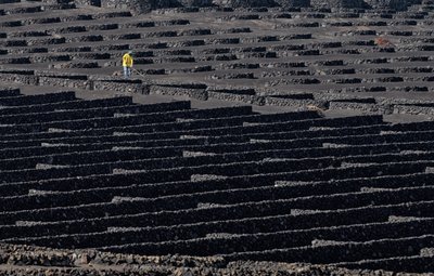 Volcanic Vineyard Worker by Francois Casanova