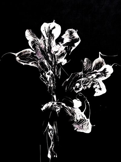 Fluid Dark Blooms by Françoise Wattré