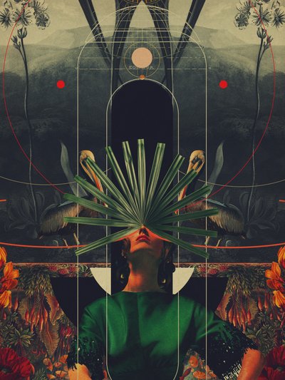 She Saw the Equator by Frank Moth