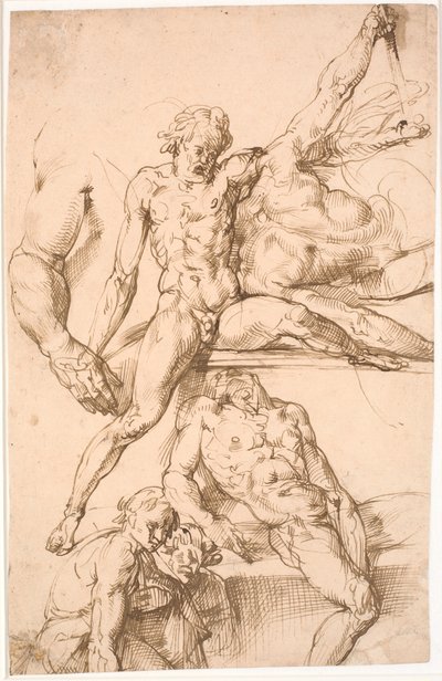 Sheet with studies: above two men wrestling and study of a right arm. Below: a reclining seated man, and two slightly leaning forward half-figure men by Frantz Cleyn