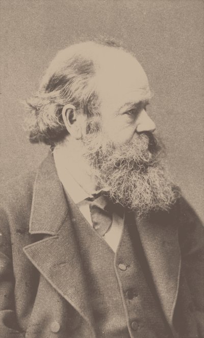 Portrait of the Composer Robert von Hornstein 1833-1890 by Franz Hanfstaengl