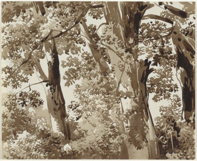 Trees with Dense Undergrowth by Franz Innocenz Josef Kobell