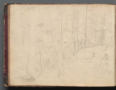 Album with Views of Rome and Surroundings, Landscape Studies, page 01b: Roman Landscape by Franz Johann Heinrich Nadorp