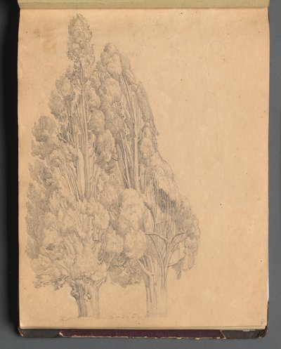 Album with Views of Rome and Surroundings, Landscape Studies, page 13a: Trees by Franz Johann Heinrich Nadorp