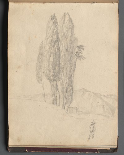 Album with Views of Rome and Surroundings, Landscape Studies, page 20a: Trees by Franz Johann Heinrich Nadorp