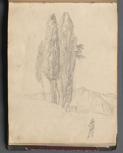 Album with Views of Rome and Surroundings, Landscape Studies, page 20a: Trees by Franz Johann Heinrich Nadorp