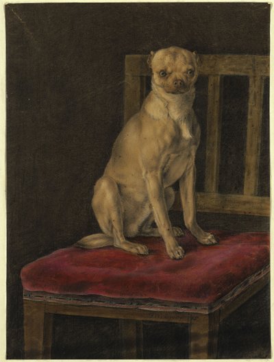 Pug by Franz Krüger