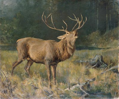 Rutting Deer by Franz Xaver von Pausinger
