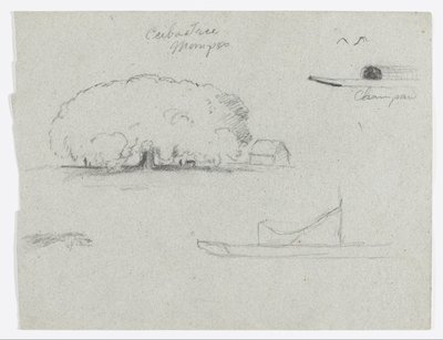 Ceiba Tree at Mompos, Champan Canoe, Trees, and a Partial Boat, Rio Magdalena, Colombia by Frederic Edwin Church