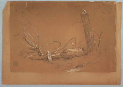 A Broken dead tree, 1855-65 by Frederic Edwin Church