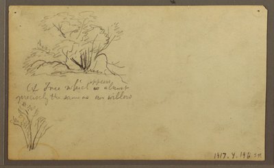 A Hut on Posts, Guayaquil, Ecuador, May 1857 by Frederic Edwin Church