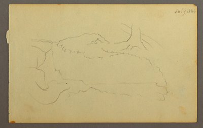 Base of a Tree, Boulders, 1844 by Frederic Edwin Church