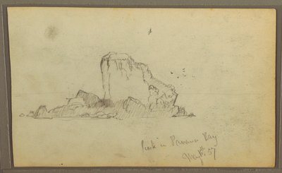 Birds, "Rock in Panama Bay"; Verso: "Heavy Vines", May 15, 1857 by Frederic Edwin Church