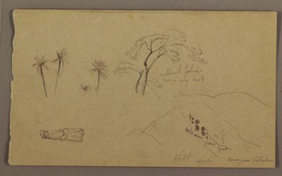 Botanical Sketches, Figure, May–August 1865 by Frederic Edwin Church
