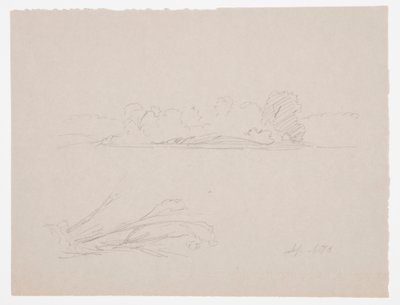 Botanical Sketches: Landscape, Trees at a Shore, September 1876 by Frederic Edwin Church
