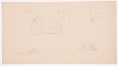 Botanical Sketches: Tree, Trees at Shore, September 1876 by Frederic Edwin Church