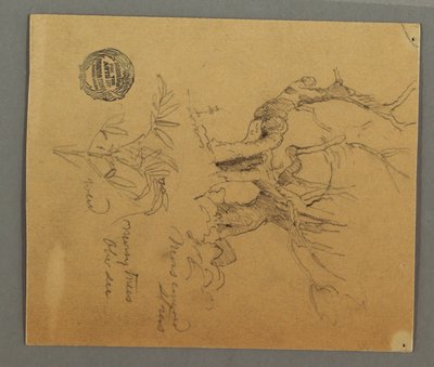 Dead Trees, Plant, possibly 1868 by Frederic Edwin Church
