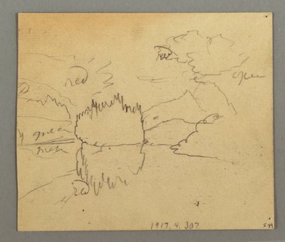 Dead Trees, Plant, possibly 1868 by Frederic Edwin Church