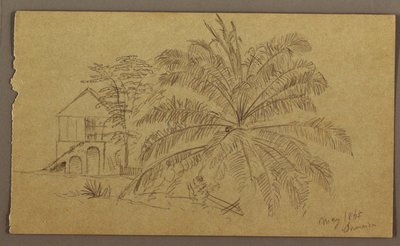 House and Fern, May 1865 by Frederic Edwin Church