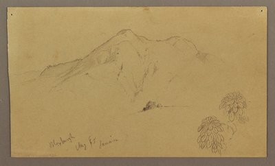 Landscape, plants, Bloxburgh, August 1865 by Frederic Edwin Church