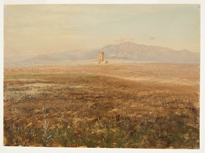 Mexican Landscape, April 1869 by Frederic Edwin Church