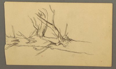 Middle Section of a Dead Tree Trunk, 1877 by Frederic Edwin Church