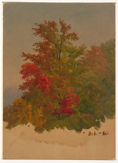 Mt. Desert Island?, Maine, October 1860 by Frederic Edwin Church