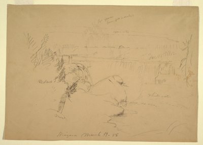 Niagara Falls, View from Goat Island, March 19, 1856 by Frederic Edwin Church