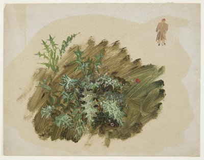 Plant Studies, 1865 by Frederic Edwin Church