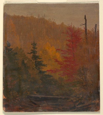 Probably near Katahdin, Autumn, 1865–70 by Frederic Edwin Church
