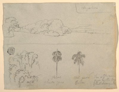 Sketches from Colombia: Bank of a River or Bay, and Trees, 1853 by Frederic Edwin Church
