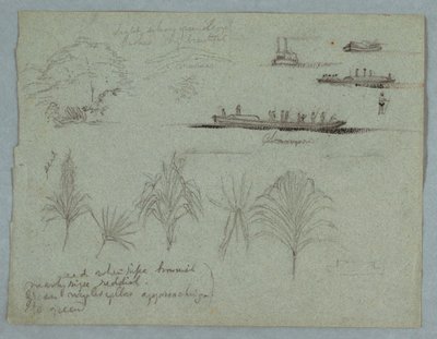 Sketches from the Rio Magdalena, Colombia: Plants, Steamer, and a Champan, 1853, probably May by Frederic Edwin Church