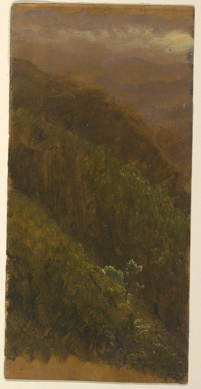 Steep Hillside, July 1865 by Frederic Edwin Church