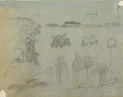 Study with Tree Tops, Trees, Five Designs of Plants, and a Distant Island, ca. 1852–53 by Frederic Edwin Church