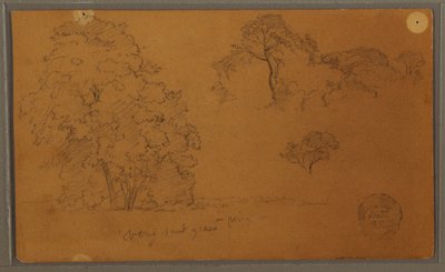 Trees, 1857 by Frederic Edwin Church