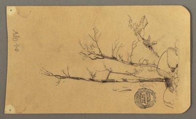 Trees, Boulders, 1878 by Frederic Edwin Church