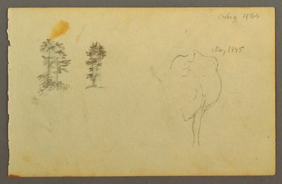 Trees, Cow, 1844 by Frederic Edwin Church