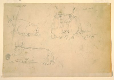 Views of crouching cattle, September 1844 by Frederic Edwin Church