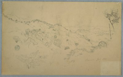 Drawing, Wooded Vale with a Large Fern and Distant Mountain Ranges, Jamaica, July 1865 by Frederic Edwin Church
