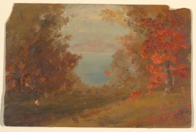 Woodland Scene in Autumn (Hudson, New York or Maine), 1860–70 by Frederic Edwin Church